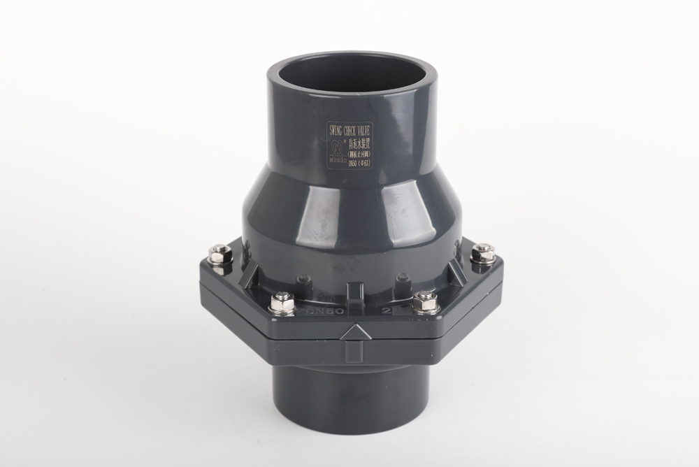 五湖渔场翻板式止回阀