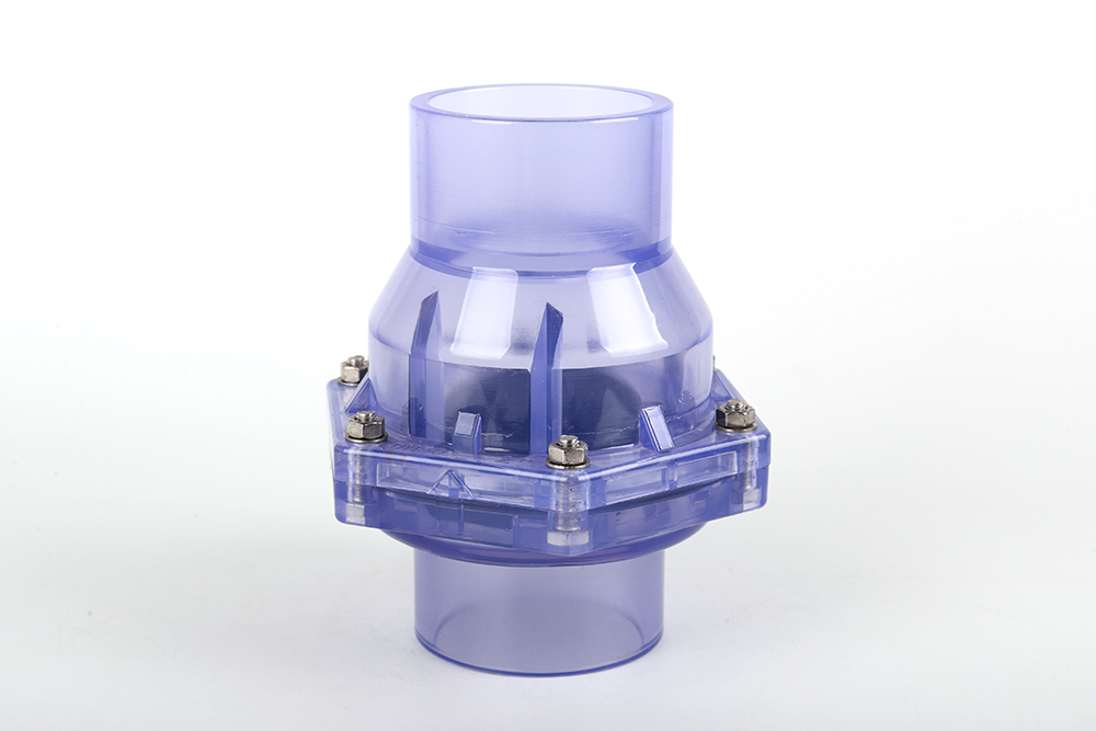 五湖渔场透明翻板式止回阀